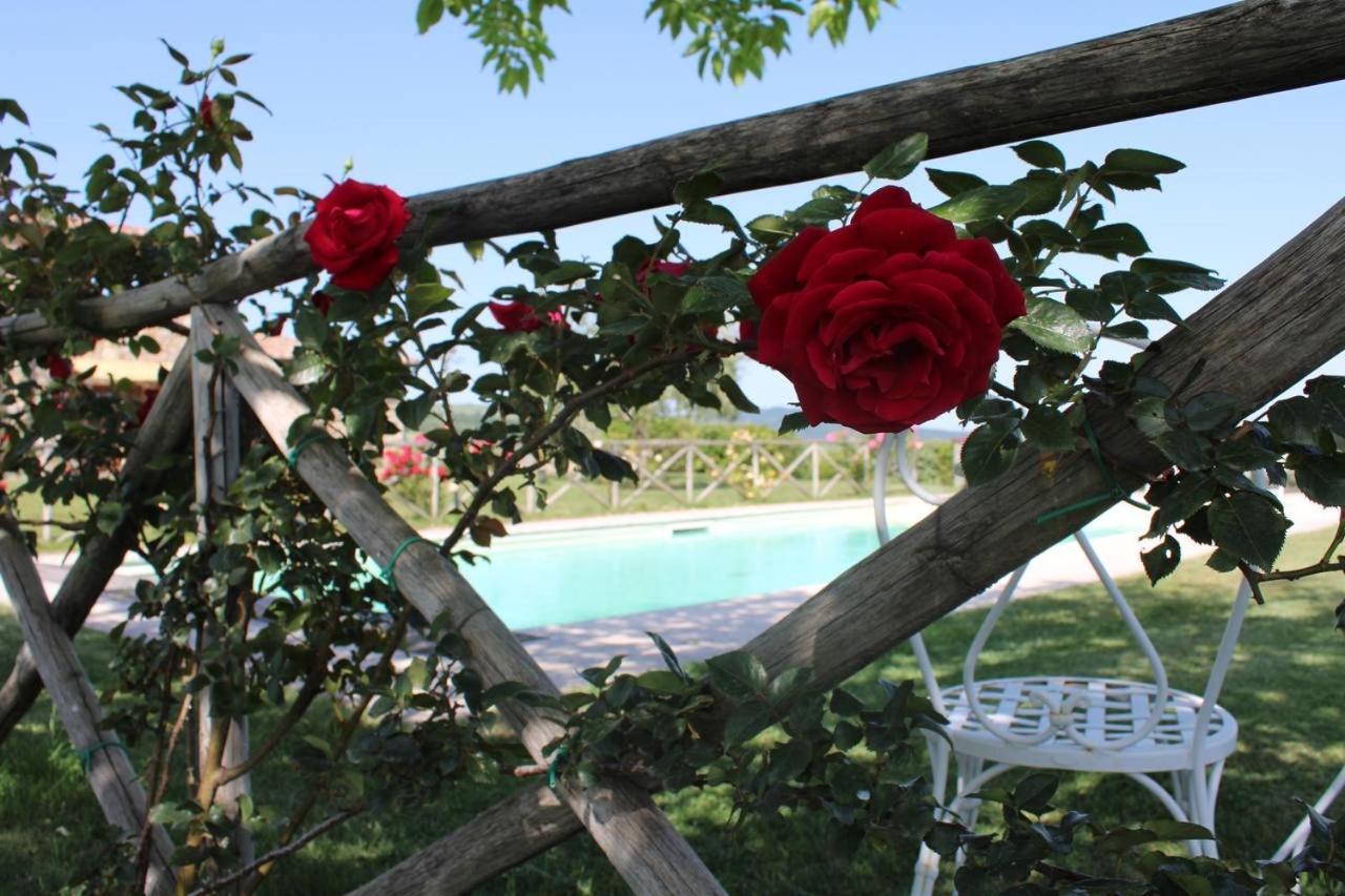 Agriturismo La Paciarella Villa Campiglia dʼOrcia Екстериор снимка
