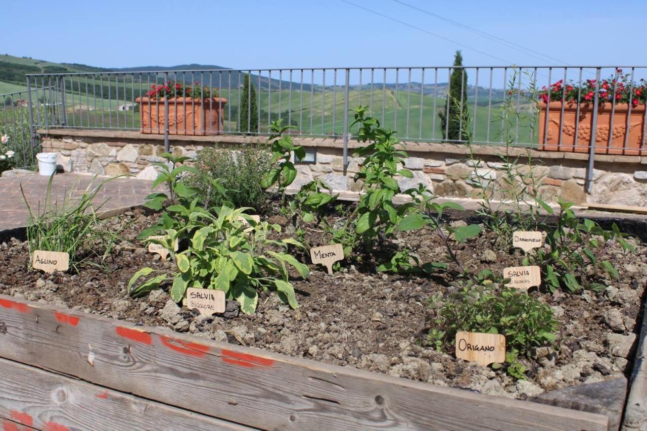 Agriturismo La Paciarella Villa Campiglia dʼOrcia Екстериор снимка