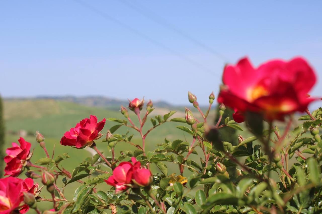 Agriturismo La Paciarella Villa Campiglia dʼOrcia Екстериор снимка